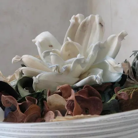 Francesca's * Bardolino