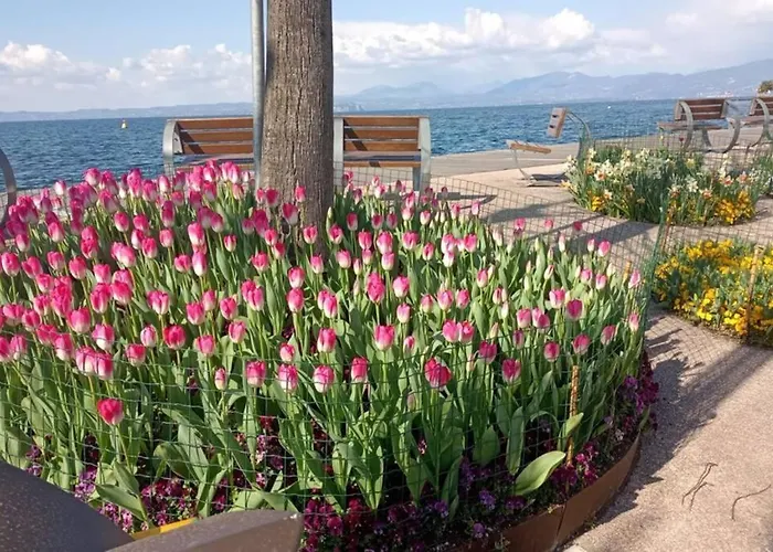 Francesca's Lägenhet