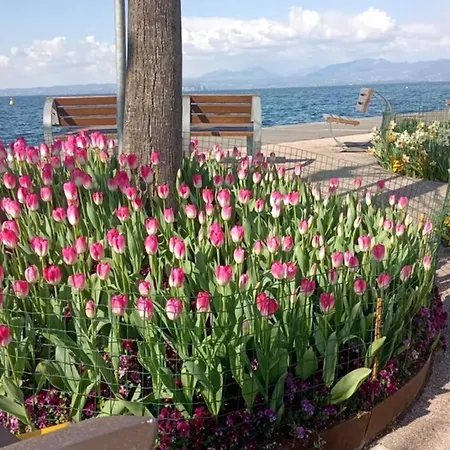 Francesca's Διαμέρισμα